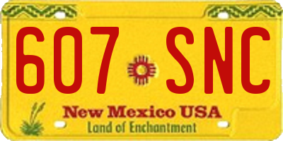 NM license plate 607SNC