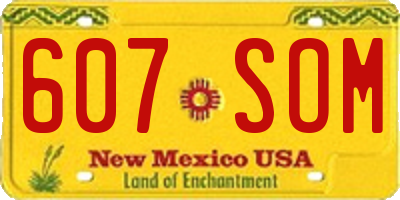 NM license plate 607SOM