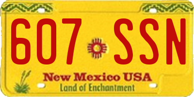 NM license plate 607SSN