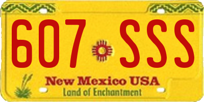 NM license plate 607SSS