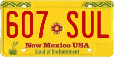 NM license plate 607SUL