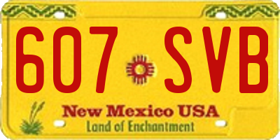 NM license plate 607SVB
