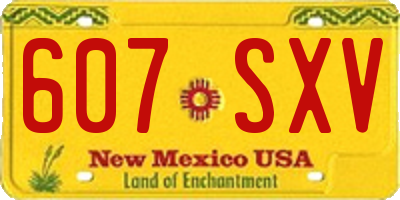 NM license plate 607SXV