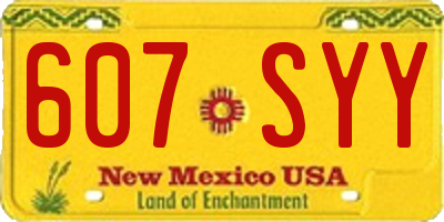 NM license plate 607SYY