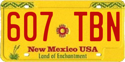 NM license plate 607TBN