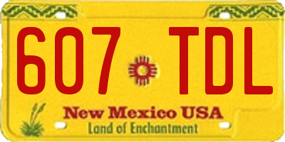 NM license plate 607TDL