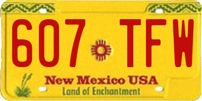 NM license plate 607TFW