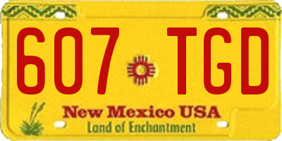NM license plate 607TGD
