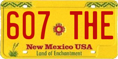 NM license plate 607THE