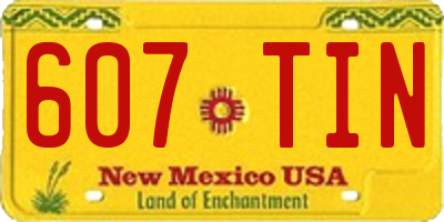 NM license plate 607TIN