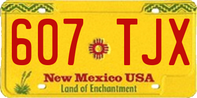 NM license plate 607TJX