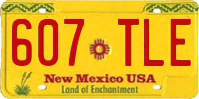 NM license plate 607TLE