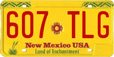 NM license plate 607TLG
