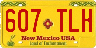 NM license plate 607TLH