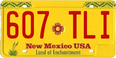 NM license plate 607TLI