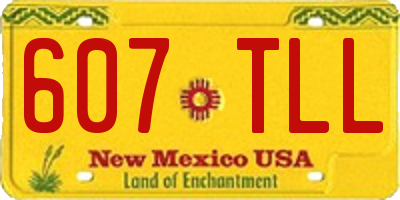 NM license plate 607TLL