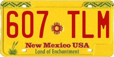 NM license plate 607TLM