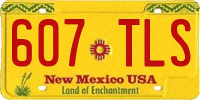 NM license plate 607TLS
