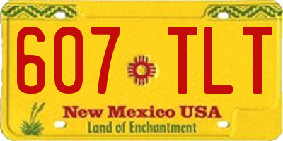 NM license plate 607TLT