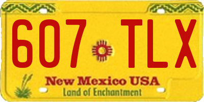 NM license plate 607TLX