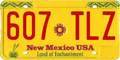 NM license plate 607TLZ