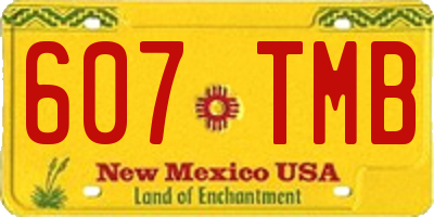 NM license plate 607TMB