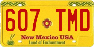 NM license plate 607TMD