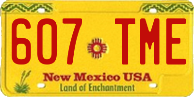 NM license plate 607TME