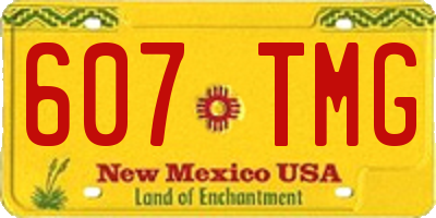 NM license plate 607TMG