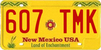NM license plate 607TMK