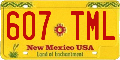 NM license plate 607TML