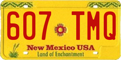 NM license plate 607TMQ