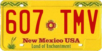 NM license plate 607TMV