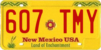 NM license plate 607TMY