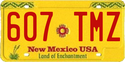 NM license plate 607TMZ