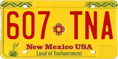 NM license plate 607TNA