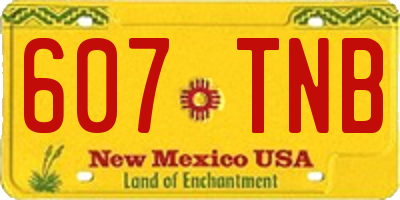 NM license plate 607TNB