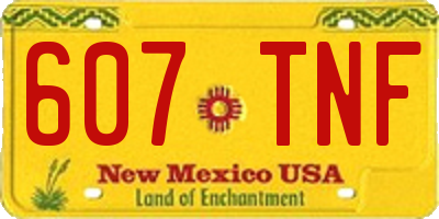 NM license plate 607TNF