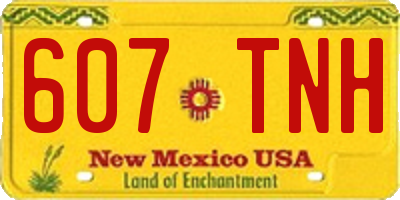 NM license plate 607TNH
