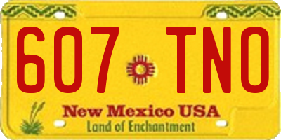 NM license plate 607TNO