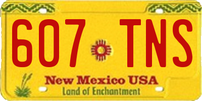 NM license plate 607TNS