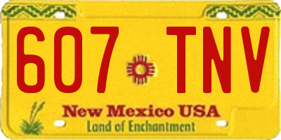 NM license plate 607TNV
