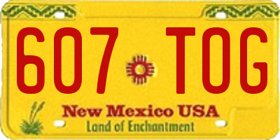 NM license plate 607TOG