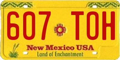 NM license plate 607TOH