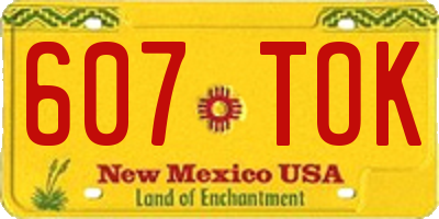 NM license plate 607TOK