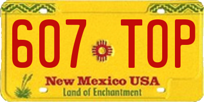 NM license plate 607TOP