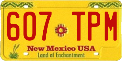 NM license plate 607TPM