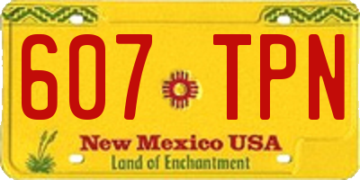 NM license plate 607TPN