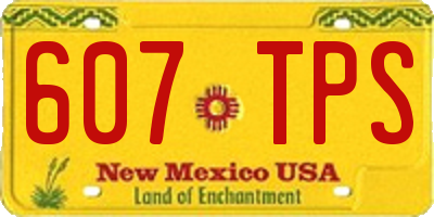 NM license plate 607TPS