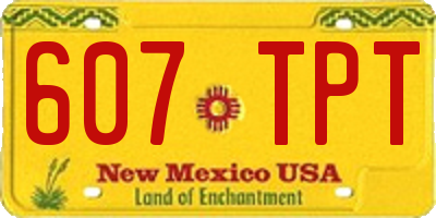 NM license plate 607TPT
